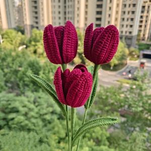 Crochet 🌷 Tulips ✨