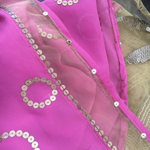 A Beautiful Saree With Net & Sequence Work