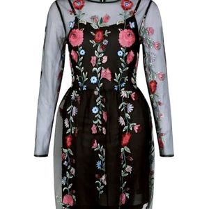 Black Mesh Floral Embroidered Skater Dress