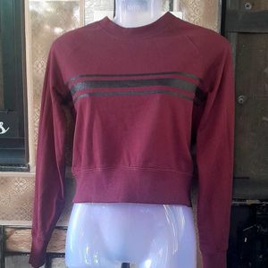 Women Wine Coloured Sweat-Shirt