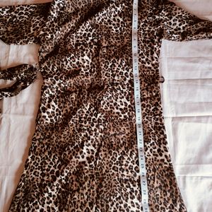 Animal Print Dress