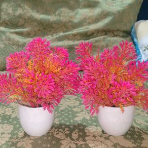 Artificial Flower Plants