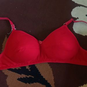 Knox Padded Bra