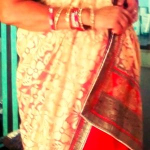 Small Function Saree