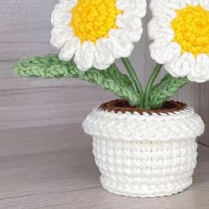 Crochet Daisy Pot 🌷