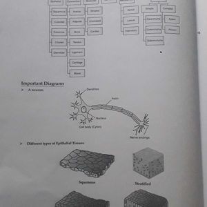 Oswaal Class 9 Sample Paper Science