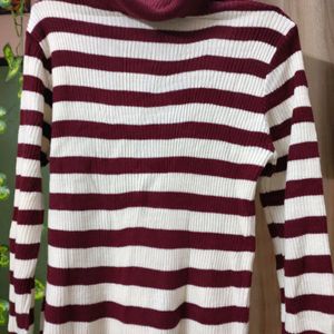 Turtle High neck Striped Sweater