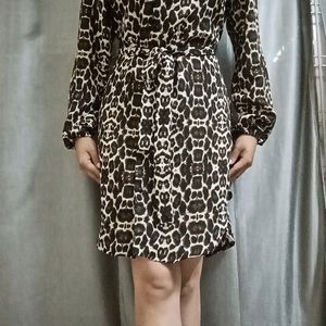 Animal Print Mini Shirt Dress