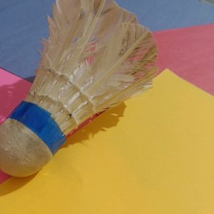 Badminton Feather Cock New