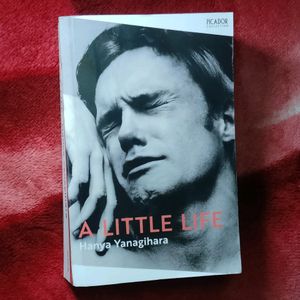 [Flat RS 30 Off On Delivery] A Little Life Novel