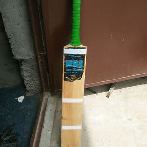 Kashmir Willow Bat