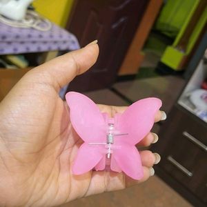 Pack Of 12 Butterfly Clatures