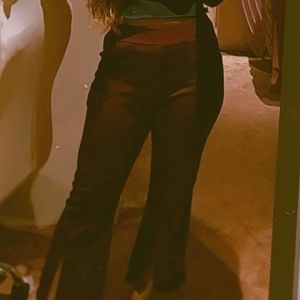 Maroon flared pant