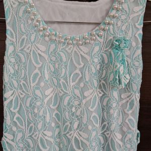 Embroided Chikankari Net Dress