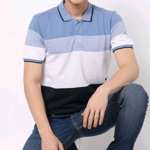 NETPLAY Regular Fit Polo T-shirt