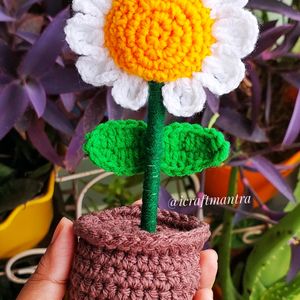 Handmade Crochet Daisy Pot