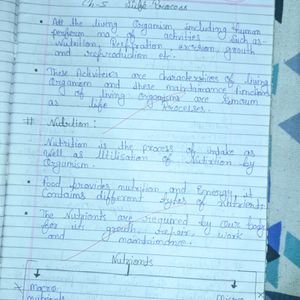 Class 10 Biology Notes