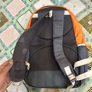 Grey Orange Skybags Bagpack