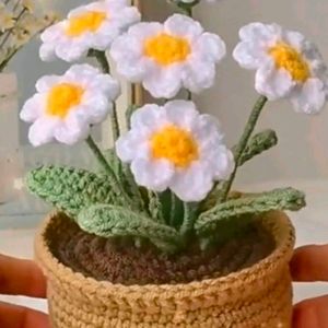 Crochet Flower Pot( 6 Flowe)