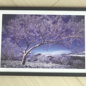 Beautiful Scenery Frame