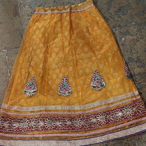 Net Ethnic Choli