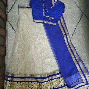 Navey Blue Gorgette Lenga