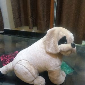 Soft Toy Dog