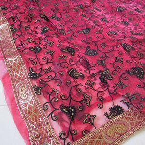 Pretty Net Fancy Saree