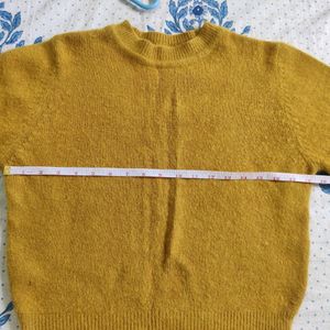 Mustard Clr Fur Jumper