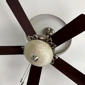 Orient Electric Fan