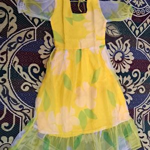 Beautiful Floral Organza Dress For Summer