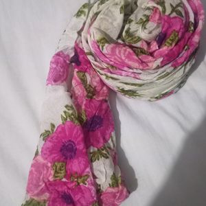 WOMEN STOLE/SCARF