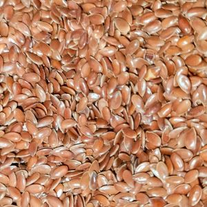 Flax Seeds