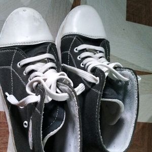 Converse Like Shoe