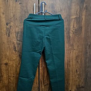 Green Straight Fit Pant