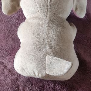 Baby Elephant Cute Soft Toy.