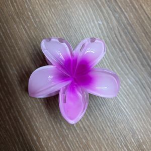 Choose Any 1 For 120 Rs Hawaain Flower Clip