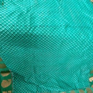 Sea Green saree With Border