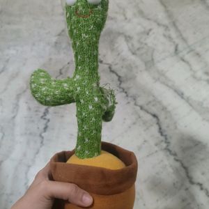 Dancing Cactus