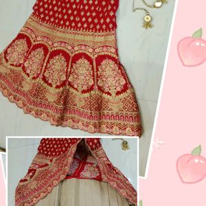 Fabulous 😍 Wedding Lehnga Heavy