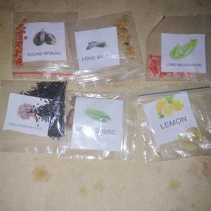 50 Types of Vegetable Plant Seeds