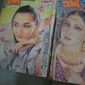 Urdu Novel