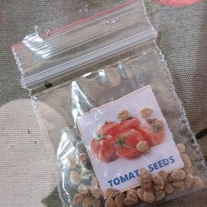 Combo Of 8 Vegetables Seeds