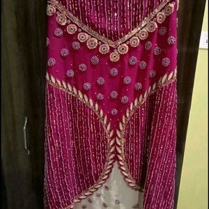 Women Lehanga Choli/Wedding Dress/Ethnic Wear