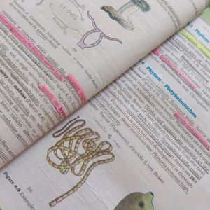 NCERT BIOLOGY CLASS 11