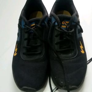Sports & Regular Shoes (CAMPUS)