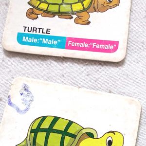 Animals Study Cards