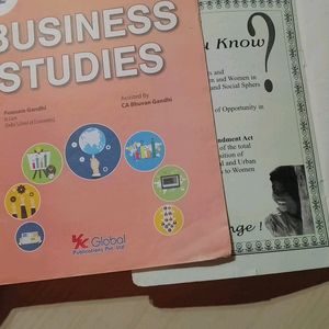 300COIN OFFBusiness Studies & Flamingo Class 12 Bo