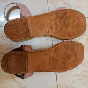 41 Size Footwear