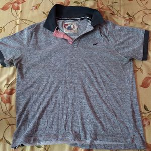 Set Of 7 Branded Polo Tshirts XL 44 Regular Fit